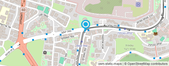 מפת הגעה אל סביון איציק