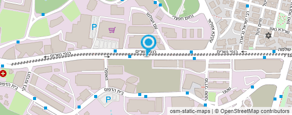 מפת הגעה אל פוריס - העצני