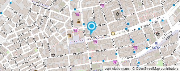 מפת הגעה אל נעמי לנדאו ושות'