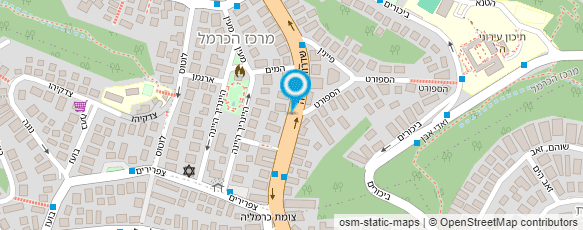 מפת הגעה אל כרמל נכסים