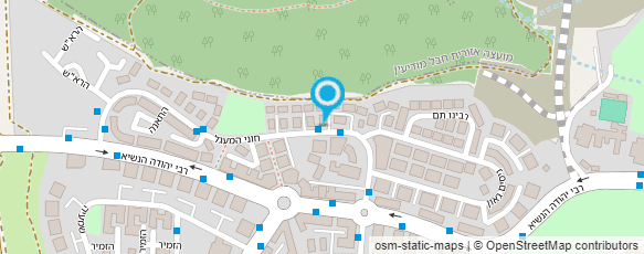 מפת הגעה אל שרה קרייזמן עיצוב פיאות