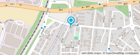 מפת הגעה אל קריביצקי אלכס