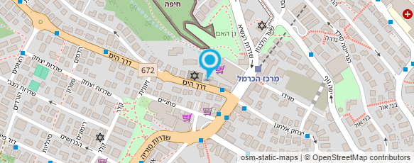 מפת הגעה אל גולדנברג - מיכלוביץ משרד עו"ד