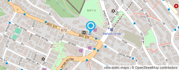 מפת הגעה אל גולדנברג עידן