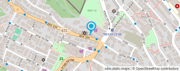 מפת הגעה אל דרורי - מיכלוביץ דלית