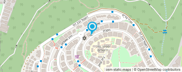 מפת הגעה אל שמואל ויינשטיין SHMUEL WENSTEIN