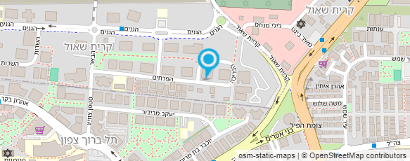 מפת הגעה אל אומנות הויטראז' - רונן קימל