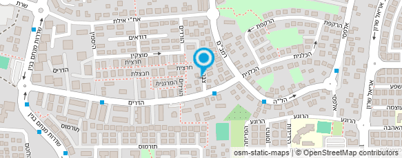 מפת הגעה אל קירשנבוים אשר