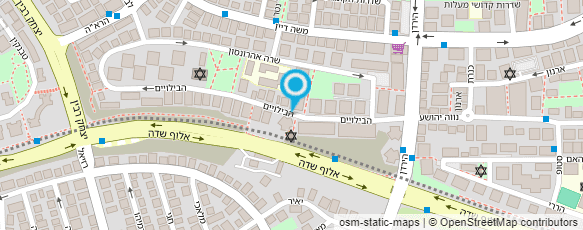 מפת הגעה אל הניוזליין פוסט בע"מ