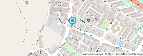 מפת הגעה אל גרוסמן דוד