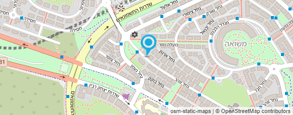מפת הגעה אל רוני סימון