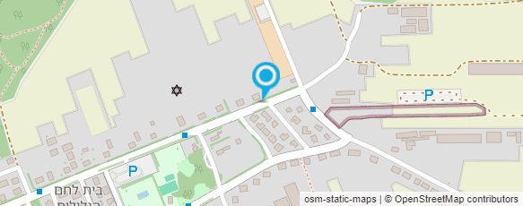 מפת הגעה אל בית וגם סיפור - פליישמן