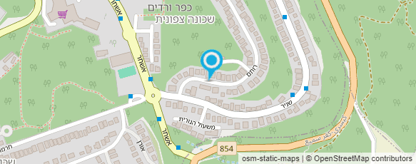 מפת הגעה אל הדס משה - יעוץ עסקי