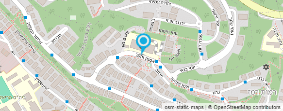 מפת הגעה אל ברגמן שרון