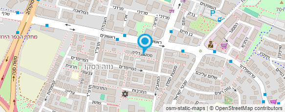 מפת הגעה אל ד"ר נסינג מאיר