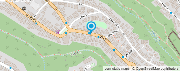 מפת הגעה אל לרון מינץ ורד