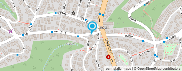 מפת הגעה אל אילנה מילשטיין