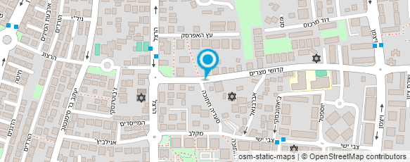 מפת הגעה אל סלון ראובן