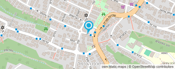 מפת הגעה אל ד"ר גולדברג פיליפ מפת הגעה אל ד"ר גולדברג פיליפ