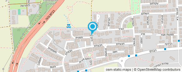 מפת הגעה אל ד"ר איילה אטינגר לליולד