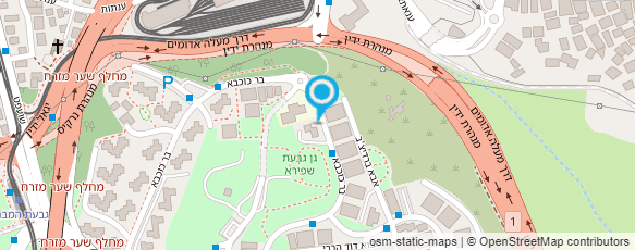 מפת הגעה אל דקלים