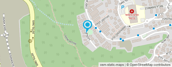 מפת הגעה אל מלסטר וירוניק