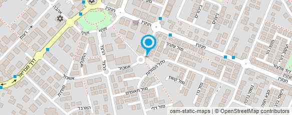 מפת הגעה אל ברנדיס עמוס