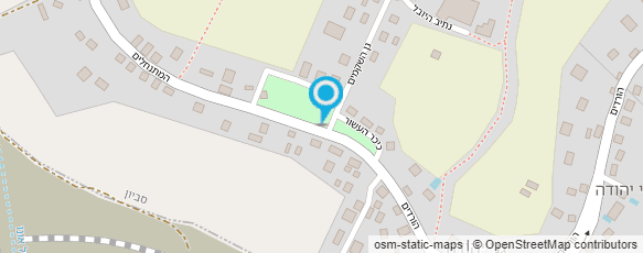 מפת הגעה אל ויצו הסתדרות עולמית