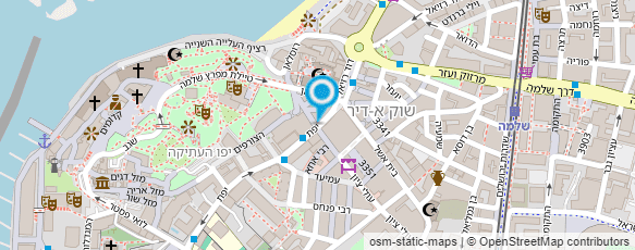 מפת הגעה אל שיזף נטע - סטודיו לפלמנקו