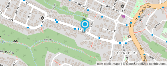 מפת הגעה אל אלראי שרית