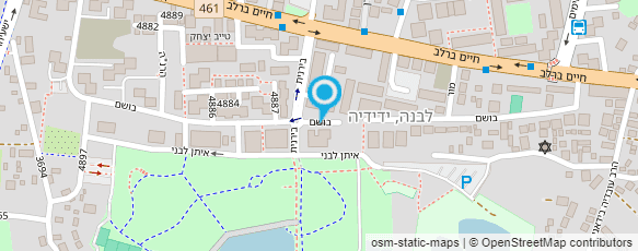 מפת הגעה אל האחים קינג מרכזים בינלאומיים בע"מ