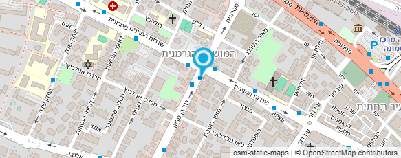 מפת הגעה אל מכון רביב;לקויות למידה