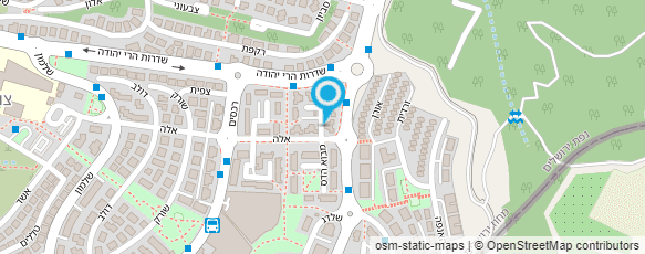 מפת הגעה אל פרופ' ולדימיר לרנר