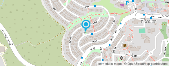 מפת הגעה אל בינו לוי השקעות בינלאומיות בע"מ