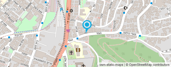 מפת הגעה אל פרופ' בורמן יוסף ברנרד