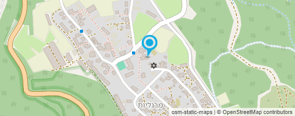 מפת הגעה אל מרדכי נפתלי הובלות