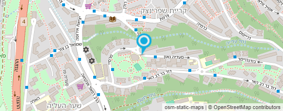 מפת הגעה אל מעון נעמ"ת - לוטם שפרינצק