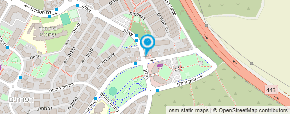 מפת הגעה אל בזאר פינסקר