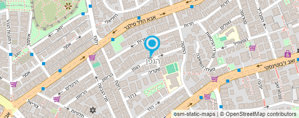 מפת הגעה אל גולדמן נילי