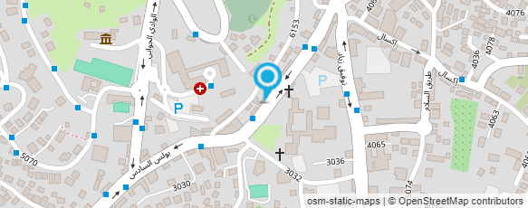 מפת הגעה אל פרחי האהבה