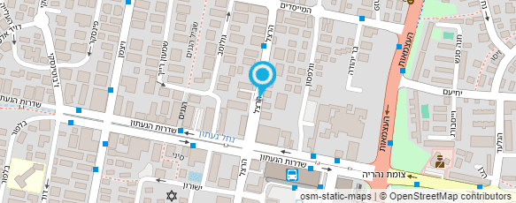 מפת הגעה אל דגי מיקי