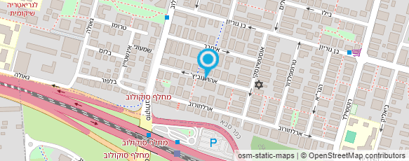 מפת הגעה אל בורינסקי טל