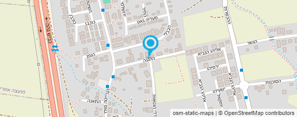 מפת הגעה אל אסתר מציירת על עץ