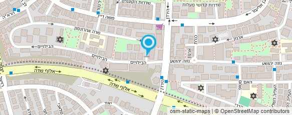 מפת הגעה אל "איריסים"