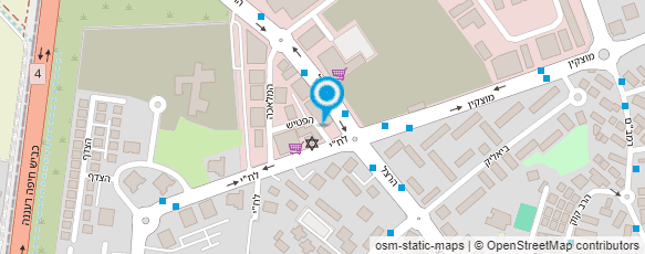 מפת הגעה אל צמיגי רשף בע"מ