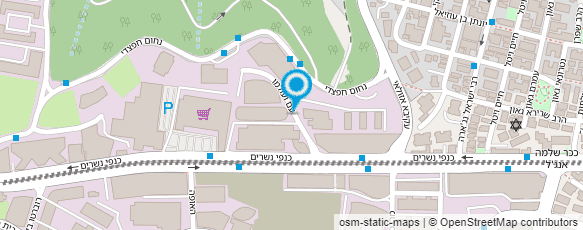 מפת הגעה אל פרופ' עזז בדרי