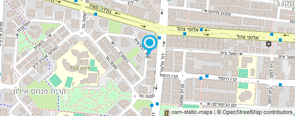 מפת הגעה אל איריס-רופא חיים