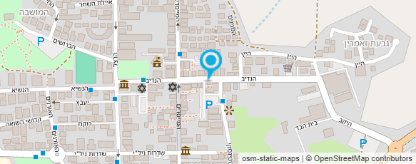 מפת הגעה אל גלריה ערמון