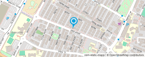 מפת הגעה אל וגנר דישון כימיקלים ומינרלים בע"מ