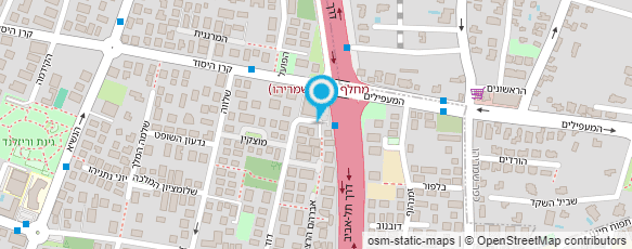 מפת הגעה אל שירה לביא